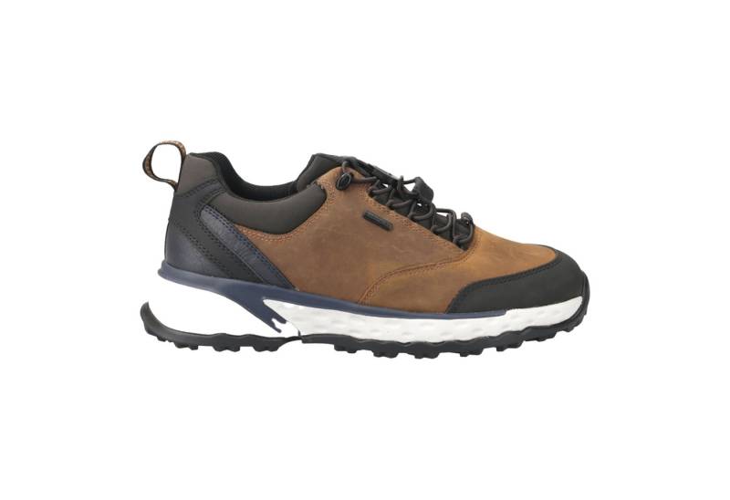 Geox GEOX STERRATO, Sneaker, Braun, Herren Sneaker von Geox