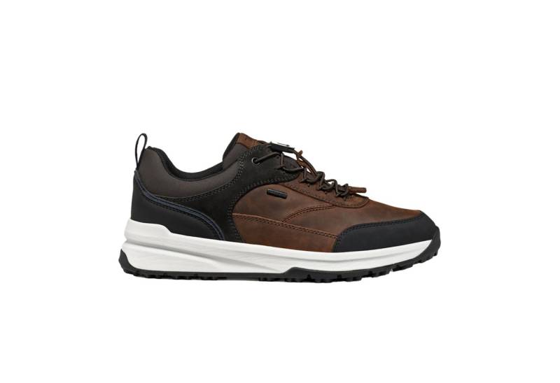 Geox GEOX STERRATRAIL, Sneaker, Braun kombiniert, Herren Sneaker von Geox