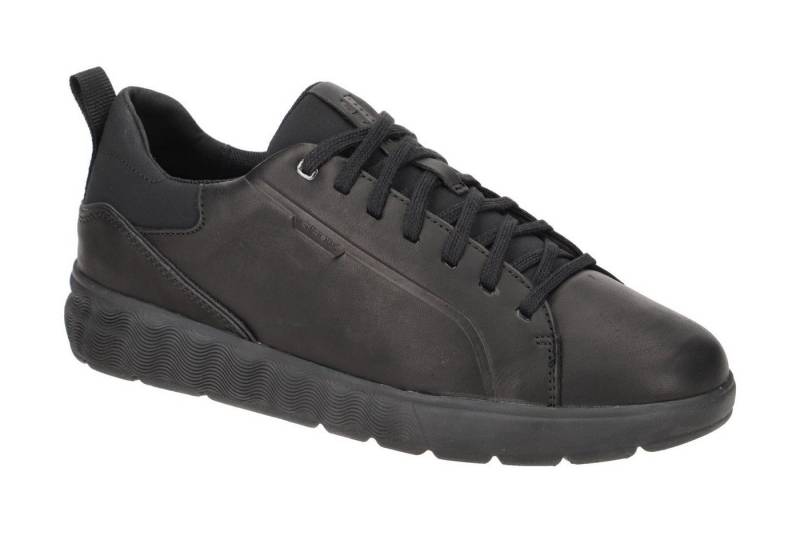 Geox U25E7B 00085 C9999 Schnürschuh von Geox
