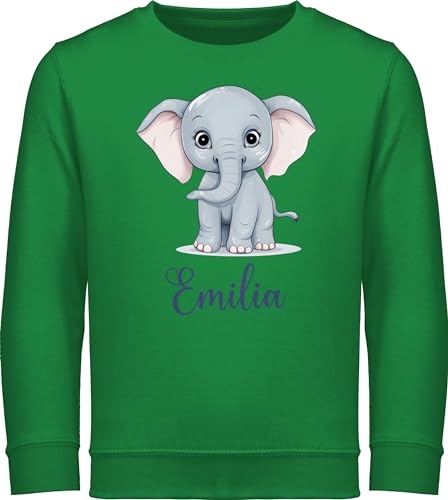 Sweater Kinder Sweatshirt Jungen Mädchen Pullover - Elefant Dickhäuter Rüsseltier mit Namen - Tiermotiv Zootier - 152 (12/13 Jahre) - Grün - elefantenmotiv Sweatshirts Elefanten Elephant und von Geschenk mit Namen personalisiert by Shirtracer