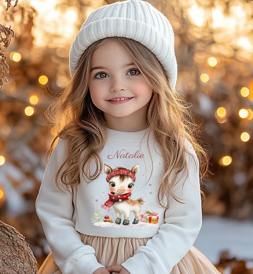 Sweatshirt Sweater Personalisiert Mit Namen, Zahl/Mädchen Pferd Weihnachten, Geburtstagspullover von Geschenkekastl