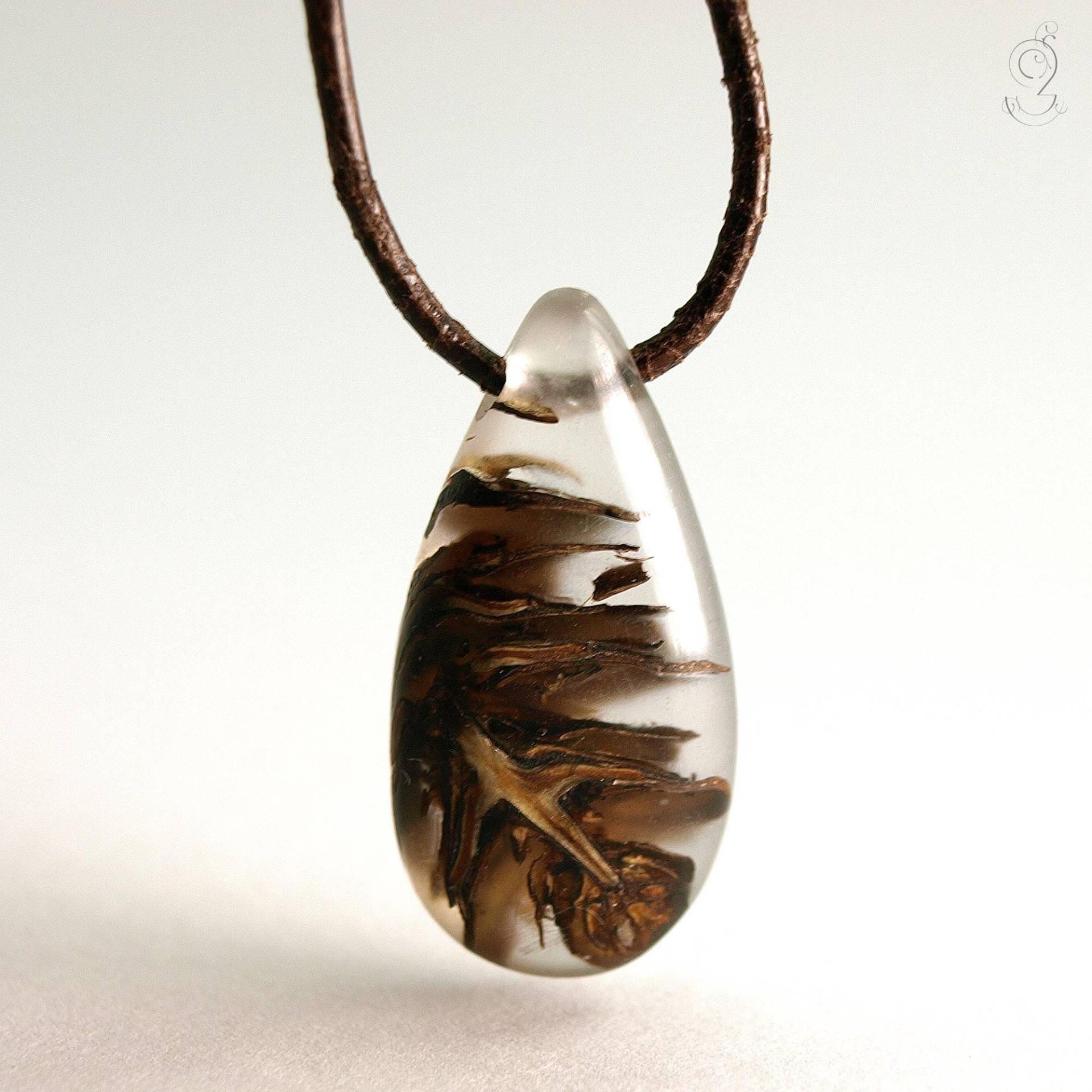 Einzigartiger Douglasienzapfen-Anhänger "Zapfenstreich" Mit Einem Echten Braunen Zapfen in Gefrostetem Gießharz Und Dunkelbraunem Lederband von GeschmeideUnterTeck