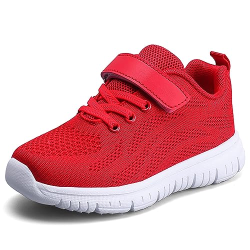 Geymxzik Laufschuhe Kinder Turnschuhe Jungen Mädchen Leicht Klettverschluss Sportschuhe Atmungsaktiv Mesh Sneakers Freizeit Schuhe 37EU von Geymxzik