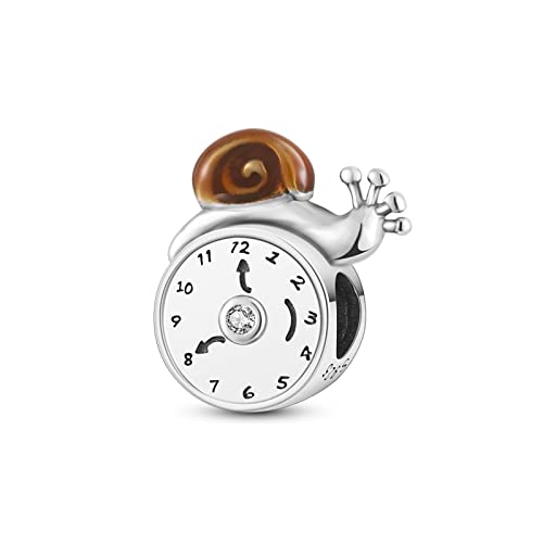 Sea Star Turtle Charms Charms passend für Armbänder Halskette 925 Sterling Silber Glücksbringer für Frauen Mädchen Schmuck Geschenke Anhänger Perle (Keep Happy Time) von Ggeneric