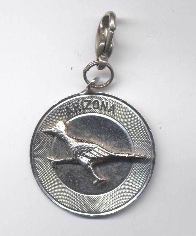 Jahrgang Große Arizona Sterling Silber Anhänger Mit Road Runner Jahrgang Große Arizona Sterling Silber Anhänger Mit Road Runner von GibsonsVintageShop