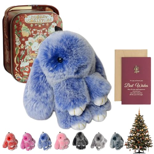 Bunnylulu, Bunny Keychain, Bunny Keychain Plush, Bunny Keychain with Tin, for (A) von Gienslru