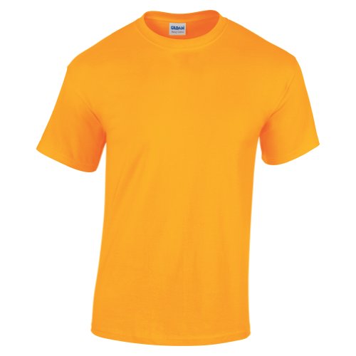 Gildan Kinder Unisex T-Shirt (2 Stück/Packung) (S) (Goldgelb) von Gildan