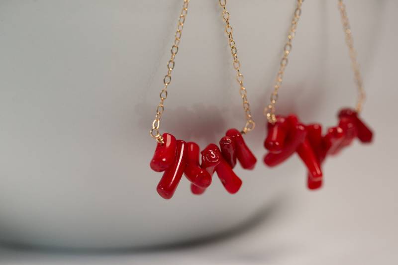 14K Gold Filled Kette Und Rote Korallen Ohrringe von GildedMinnow