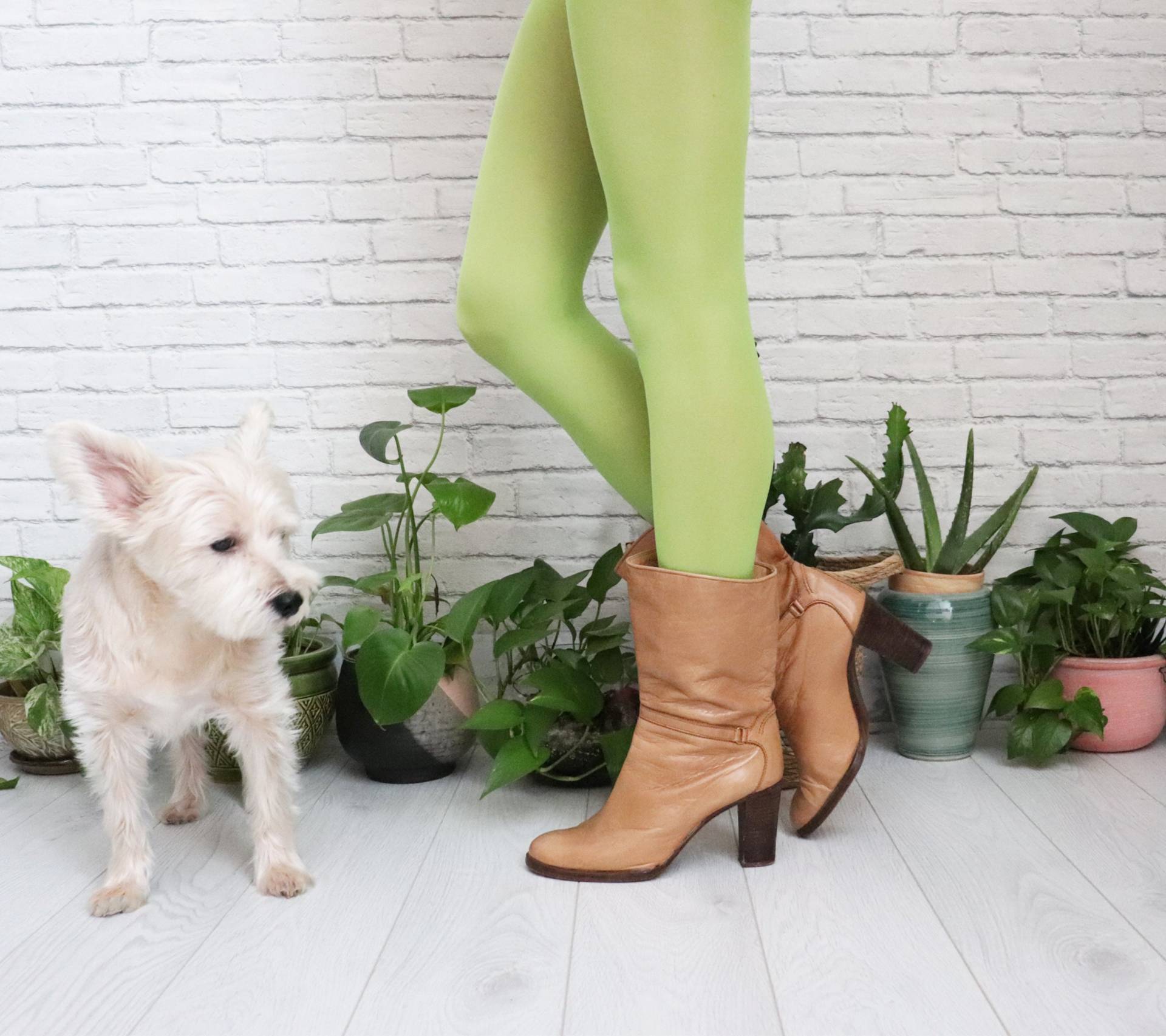 1970Er Honig Leder Booties || Größe 9 Bis 9, 5 Runde Zehe Mittelkalte Braune Stiefel Vintage Hippie Boho Creme Tan Kurze Made in Spain 1970Er Honig Leder Booties || Größe 9 Bis 9, 5 Runde Zehe Mittelkalte Braune Stiefel Vintage Hippie Boho Creme Tan Kurze Made in Spain von GimmeShelterVintage