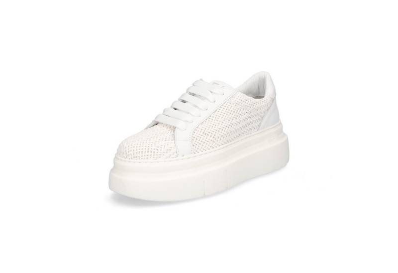 Gio+ Gio+ Damen Sneaker weiß Sneaker von Gio+