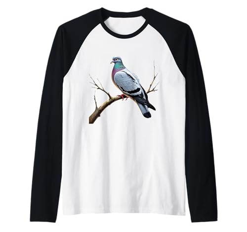 Atemberaubende Taube auf einem AST Vogelkunst für Vogelliebhaber Mädchen Raglan Atemberaubende Taube auf einem AST Vogelkunst für Vogelliebhaber Mädchen Raglan von Girls who love Pigeons Breeders Funny Birds Women