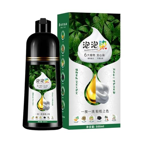 GkgWuxf Schäumendes Haarfärbemittel Shampoo,500ml Färbe Shampoo Für Erwachsene | Sanftes Schaum Färbeprodukt Für Frauen Männer Vielbeschäftigte Reisende Zuhause Salon von GkgWuxf