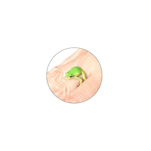 GlameVibe Baumfrosch-Ring oder Damen, verstellbare Öffnung, Frosch-Umarmung, Vintage-Ring, lustiges Geschenk, Schmuck (grün) von GlameVibe