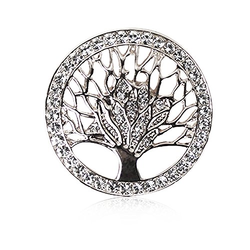 Glamexx24 Brosche Schmuck Magnet Anhänger Button mit Strassstein - Damen Brosche für Kleider Schals Ponchos Kleidung Modeschmuck von Glamexx24