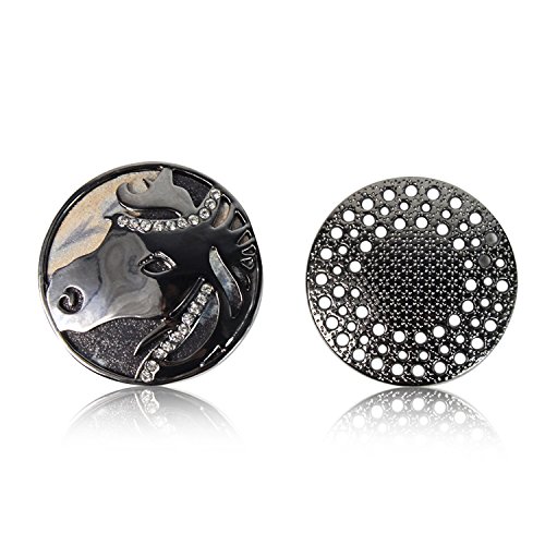 Glamexx24 Damen Brosche Schmuck Magnet Anhänger Button - Damen Brosche für Kleider Schals Ponchos Kleidung Modeschmuck von Glamexx24