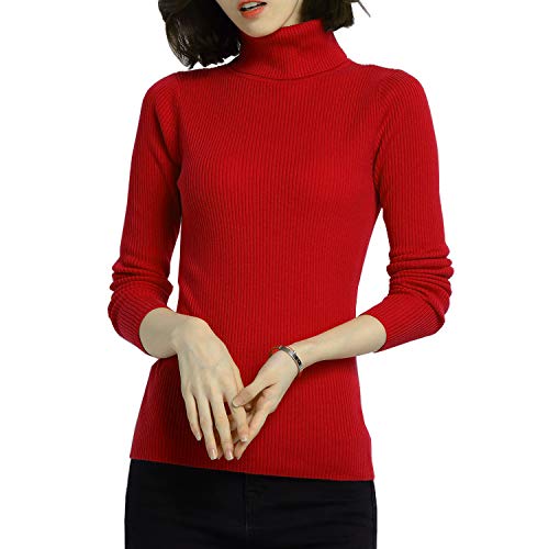 Glamexx24 Damen Einfarbig Langarm Rollkragenpullover Casual Strickpullover Sweatshirt Warme Feinstrick Pullover von Glamexx24