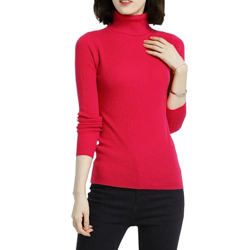 Glamexx24 Damen Einfarbig Langarm Rollkragenpullover Casual Strickpullover Sweatshirt Warme Feinstrick Pullover von Glamexx24