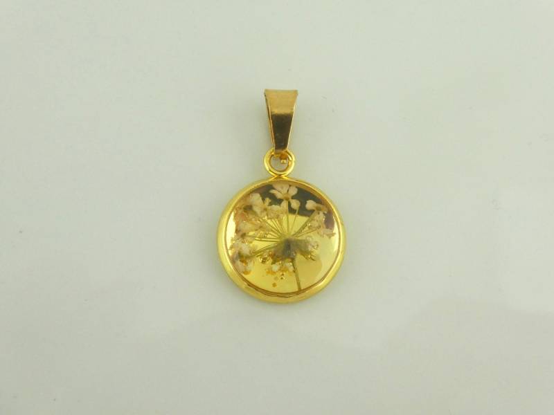 Anhänger Gold Getrocknete Blume Wilde Möhre 10mm Edelstahl von GlasschmuckBirgitH