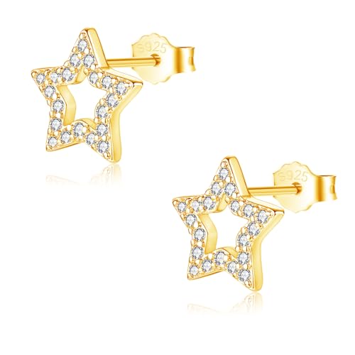 Glintara Silber 925 Ohrstecker für Damen, 925 Sterling Silber Stern Ohrstecker, Flach Ohrringe Silber 925 Stecker, Klein Cubic Zirkonia Ohrstecker, Knorpel Schlafen Ohrringe Hypoallergene Ohrschmuck Glintara Silber 925 Ohrstecker für Damen, 925 Sterling Silber Stern Ohrstecker, Flach Ohrringe Silber 925 Stecker, Klein Cubic Zirkonia Ohrstecker, Knorpel Schlafen Ohrringe Hypoallergene Ohrschmuck von Glintara