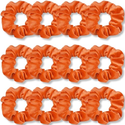 Haargummis, hochwertig, Samt, weich, einfarbig, dicke Gummibänder, Haarschmuck für Damen und Mädchen, 12 Stück(Hecker) von Glorixial