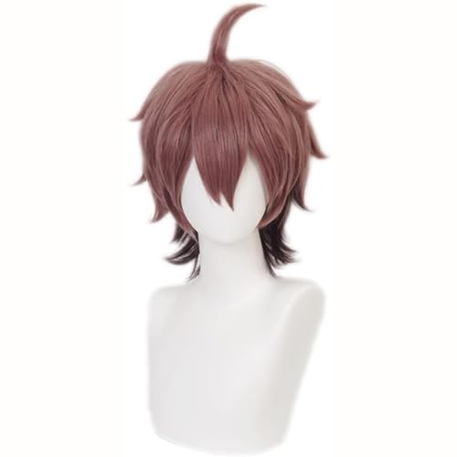 GmfLeX Makoto Naegi Cosplay Perücke, Danganronpa Perücken, 30cm/11" Männer Gradient Brown kurze Perücken von GmfLeX