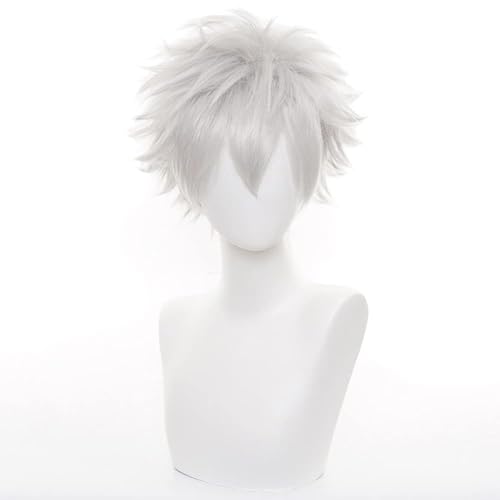 GmfLeX Sakata Gintoki Cosplay Perücke, Kurze Splitter Grau Anime Cosplay Perücke von GmfLeX