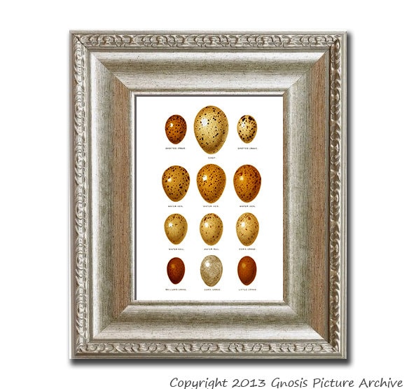 Kinderzimmer Babyzimmer Osterdekoration Vogel Eier Druck No.2 in Goldbraun, Gelb Erde Farbe Wand Kunstdruck 8x10" Ostern Frühling Esszimmer Dekor von GnosisPictureArchive