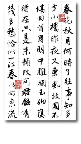 2 Stück Chinesische Kalligraphie-Text-Kräutersaft-Tattoo-Aufkleber Für Männer Und Frauen, Halbarmig, Semipermanent Temporäre Tattoos Tattoo Aufkleber Falsche Tätowierung von GoDdis