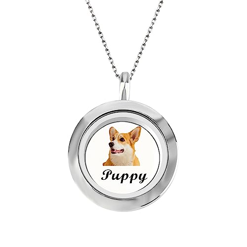 Benutzerdefinierte Bild Halskette personalisierte Haustier Pelz Medaillon Anhänger personalisierte Urne Halskette für Asche, Foto graviert Halskette, Pet Memorial Hund Katze Schmuck Geschenk von Godchoices