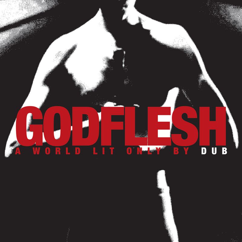 Godflesh A world lit only by fire CD multicolor von Godflesh