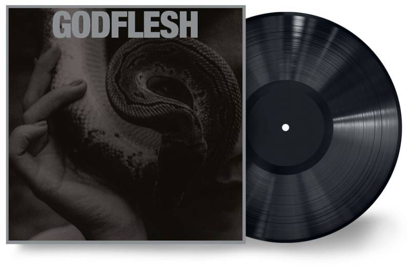 Godflesh Purge LP multicolor Godflesh Purge LP multicolor von Godflesh