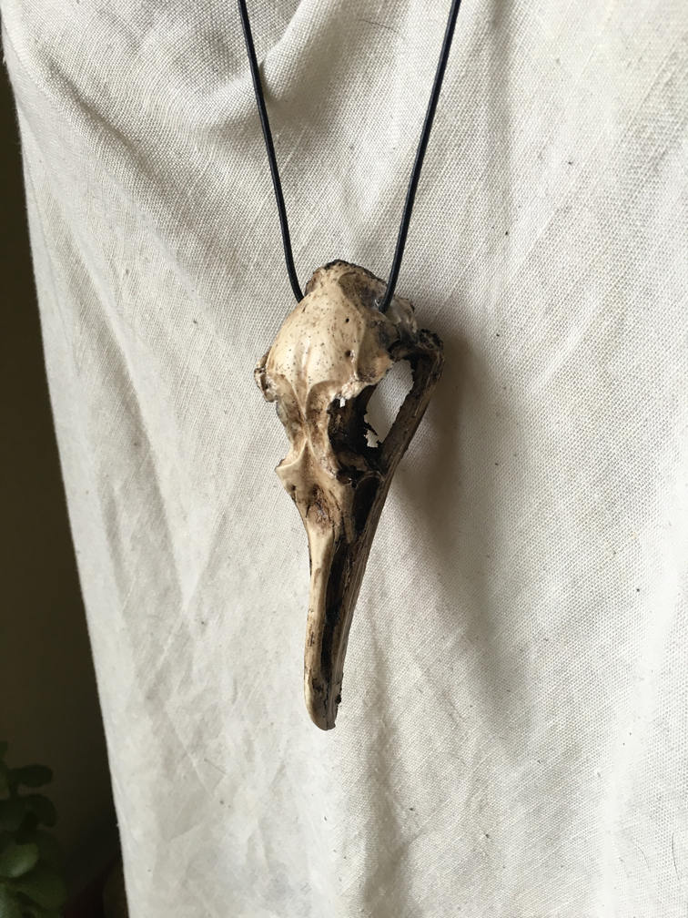 Möwen Totenkopf Anhänger Möwen Totenkopf Anhänger von GodsBelow