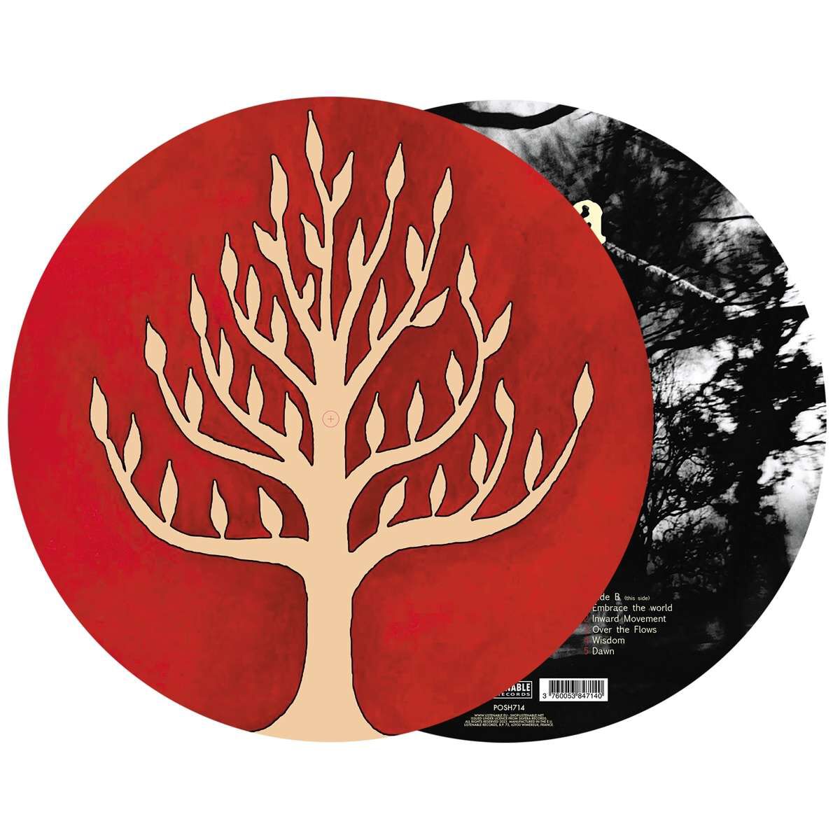 Gojira The link LP multicolor Gojira The link LP multicolor von Gojira