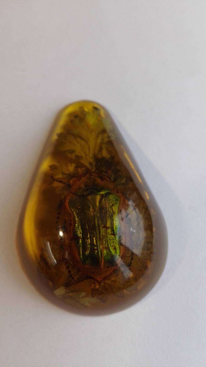 Insektenanhänger Käfer Vintage 1970Er Jahre Im Tropfen Aufhängung von GoldAnt