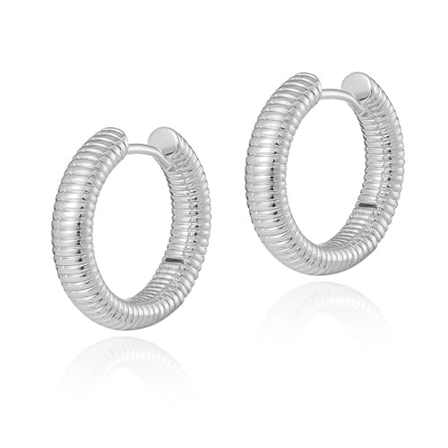 GoldenPlayer 18K Ohrringe Dupes, Ohrringe für Damen, Ohrringe Creolen für Damen, Hypoallergene 585 Vergoldete Ohrringe mit Ohrringbox (C-Silver) von GoldenPlayer