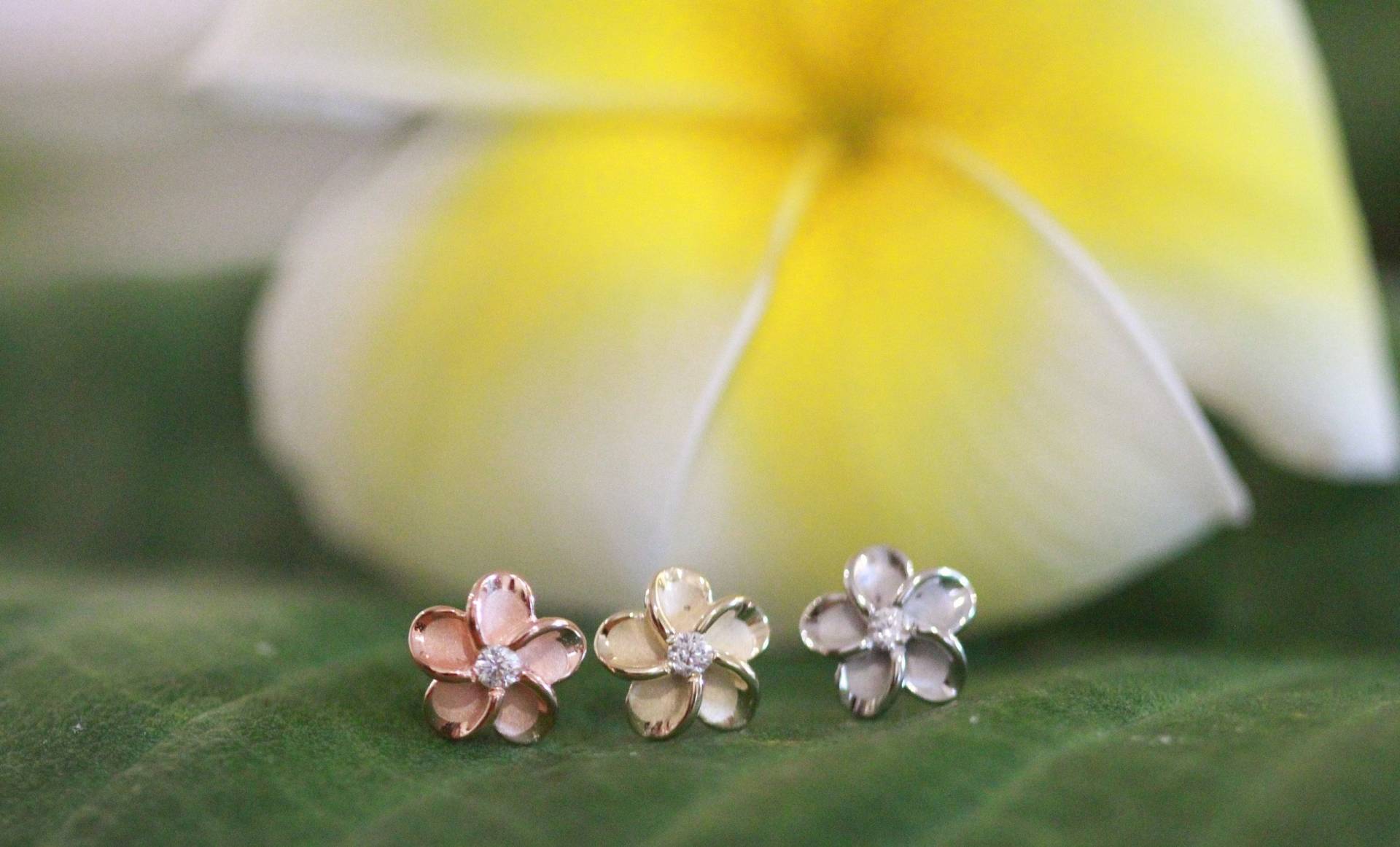 Ohrstecker Plumeria, Schildkröte | Honu, Seestern, Ananas -sterling Silber Mit Cubic Zirkonia von GoldenSandJewelry