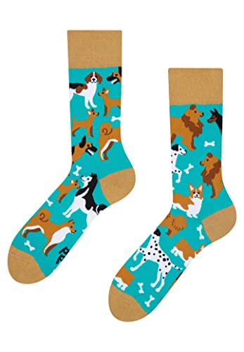 Dedoles Socken Regular normale Höhe Unisex Damen Herren Baumwolle viele lustige Designs Weihnachtssocken 1 Paar, Farbe Türkis, Motiv Hundefreunde, Gr. 35-38 von Dedoles