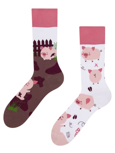 Dedoles Socken Regular normale Höhe Unisex Damen Herren Baumwolle viele lustige Designs Weihnachtssocken 1 Paar, Farbe Rosa, Motiv Fröhliche Schweine, Gr. 35-38 von Dedoles