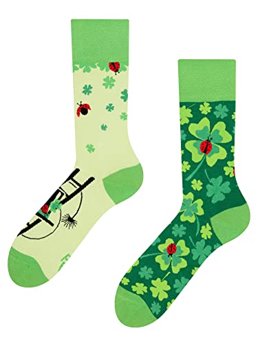 Dedoles Socken Regular normale Höhe Unisex Damen Herren Baumwolle viele lustige Designs Weihnachtssocken 1 Paar, Farbe Grün, Motiv Vierblättriger Glücksklee, Gr. 35-38 von Dedoles