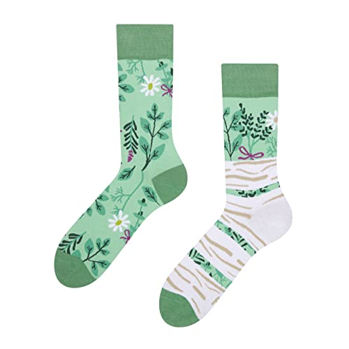 Dedoles Socken Regular normale Höhe Unisex Damen Herren Baumwolle viele lustige Designs Weihnachtssocken 1 Paar, Farbe Grün, Motiv Kräuter, Gr. 35-38 von Dedoles