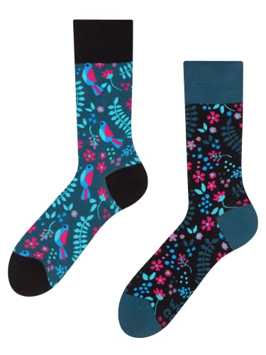 Dedoles Socken Regular normale Höhe Unisex Damen Herren Baumwolle viele lustige Designs Weihnachtssocken 1 Paar, Farbe Blau, Motiv Geheimer Garten, Gr. 35-38 von Dedoles