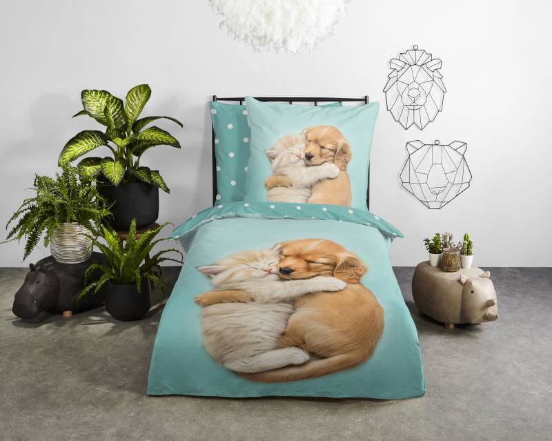 good morning Kinderbettwäsche "Paxy" 2 Stk. tlg. Baumwolle, Renforcé, Wendeoptik, Kind, Hund, Katze von Good Morning