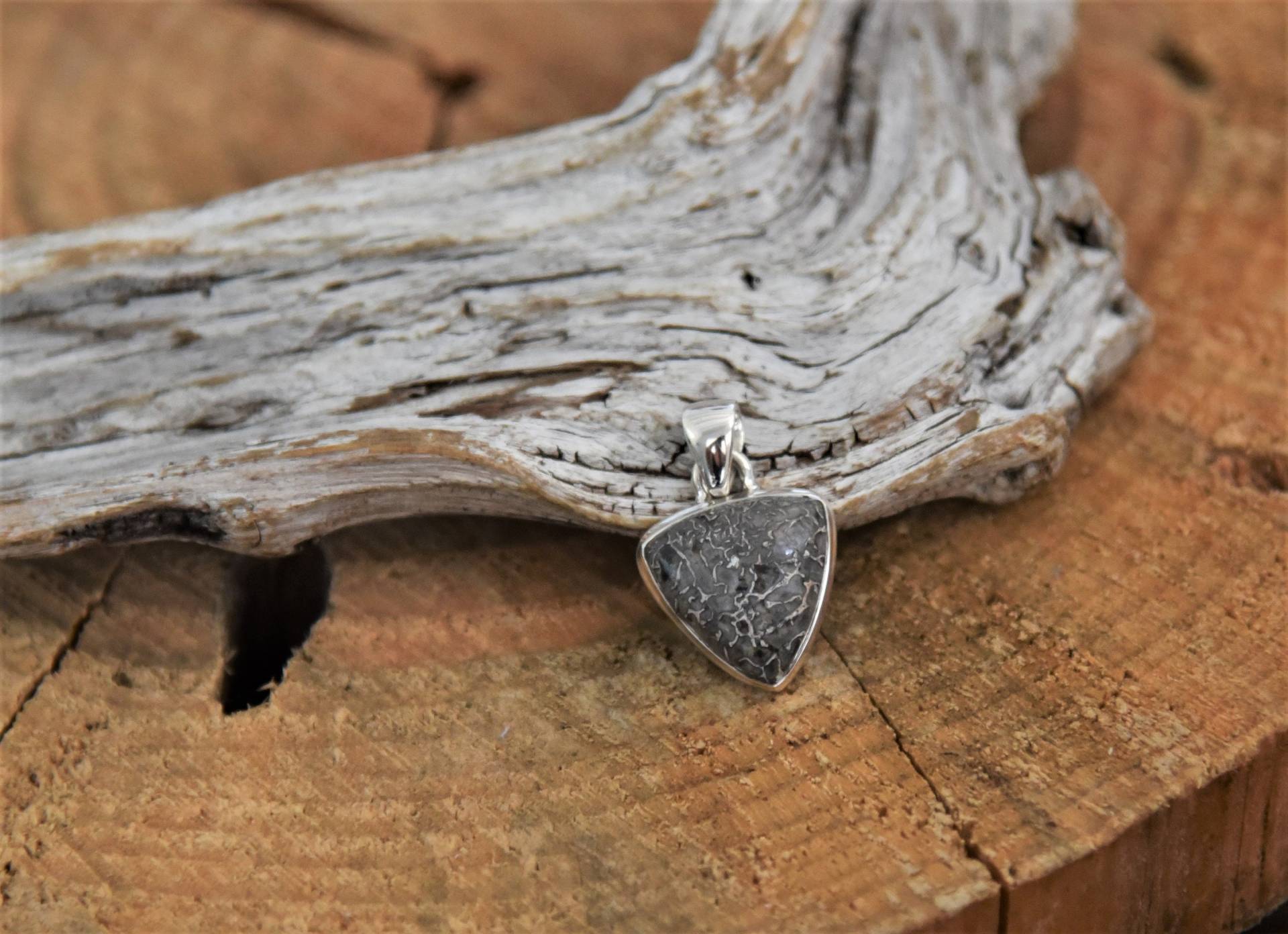 sterling Silber Dino Knochen Anhänger sterling Silber Dino Knochen Anhänger von GoodKarmaJewelrySD
