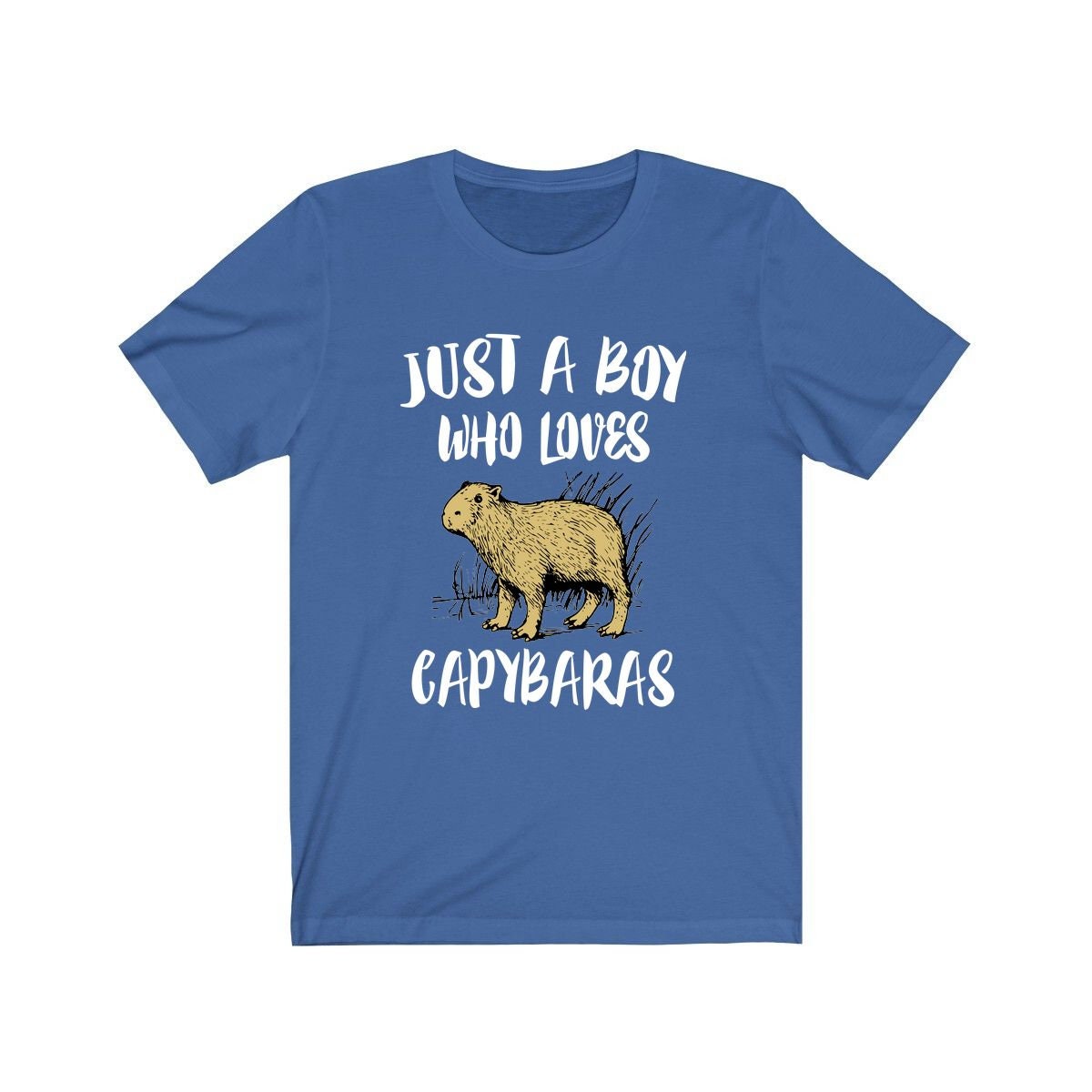 Just A Boy Who Loves Capybaras Shirt, Capybara Liebhaber Geschenk, Tier Erwachsene Kinder T-Shirt von Goodszy