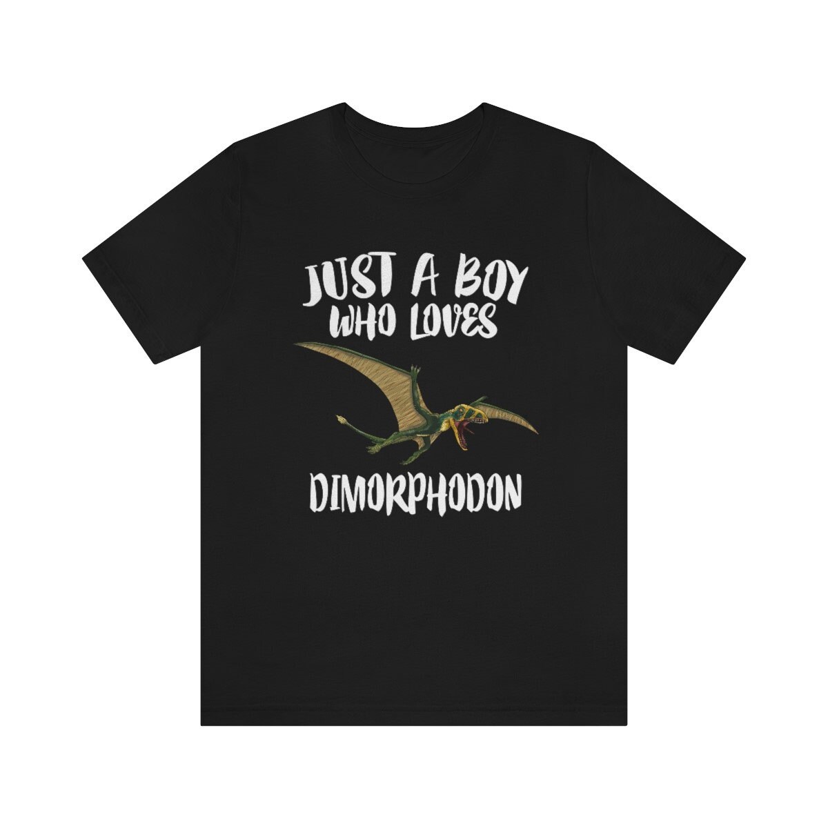 Just A Boy Who Loves Dimorphodon Dinosaurier Shirt, Liebhaber Pterosaur Geschenk, Tier Erwachsene Kinder T-Shirt von Goodszy