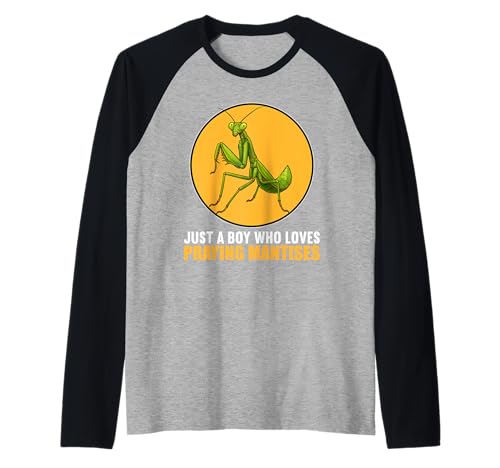 Herren Gottesanbeterinnen Gottesanbeterin Raglan Herren Gottesanbeterinnen Gottesanbeterin Raglan von Gottesanbeterinnen Gottesanbeterin Tier Shop