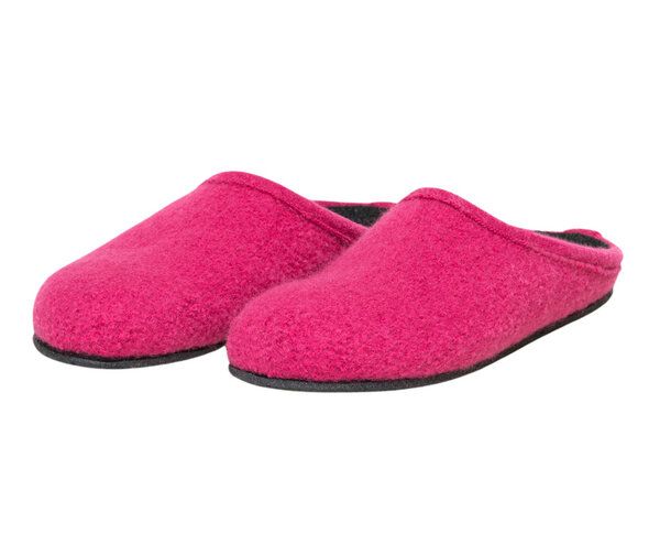 Gottstein Walkpantoffel ALP- COMFORT-FE von Gottstein