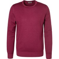 Gran Sasso Herren Pullover rosa Schurwolle unifarben von Gran Sasso