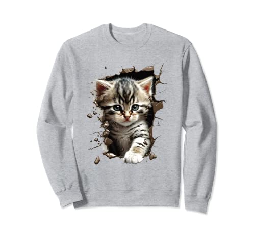 Niedliches Kätzchen-Merch mit rissiger Wand, für Damen und Herren, Katze Sweatshirt Niedliches Kätzchen-Merch mit rissiger Wand, für Damen und Herren, Katze Sweatshirt von Graphic Merch Tees for Men Women Boys Girls