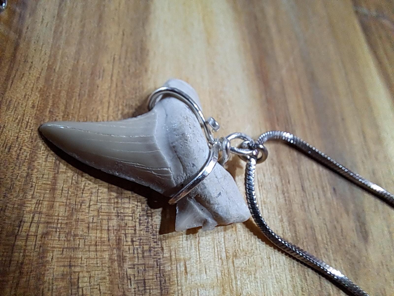 Haifischzahn Halskette Naturschmuck, Nachhaltig & Handgemacht, Herren, Männer, Kette + Anhänger; Echtsilber Silber Versteinert Fossil von GravesArts